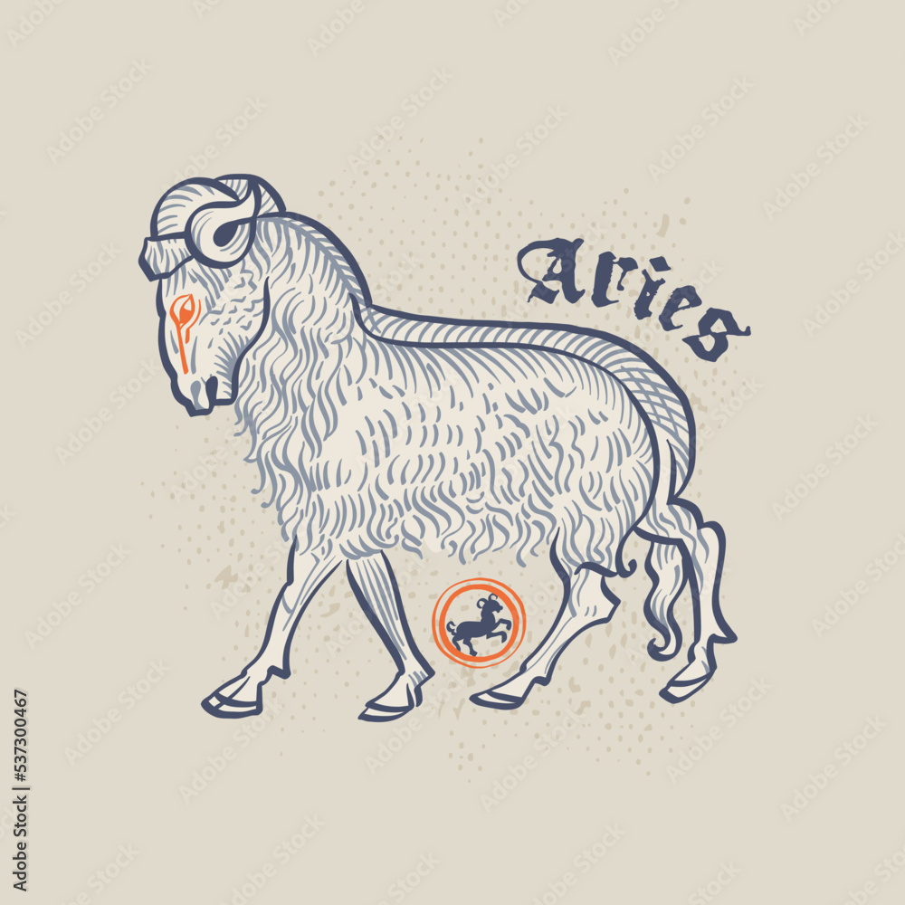 Obraz premium Ram zodiac sign. Astrology illustration in medieval engraving style with gothic lettering.