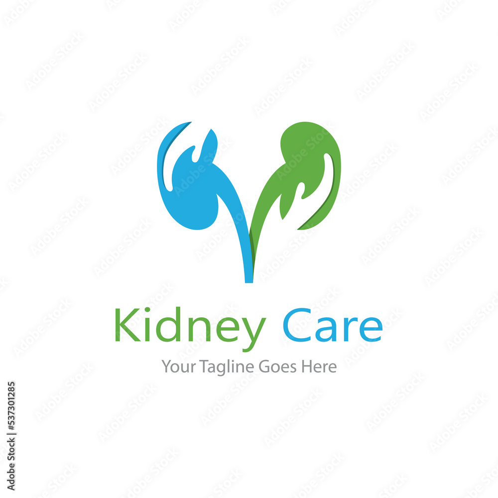 kidney vector illusrtation kidney vector illusrtation