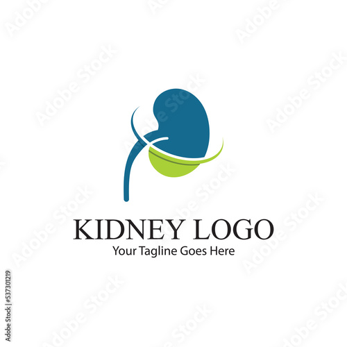 kidney vector illusrtation