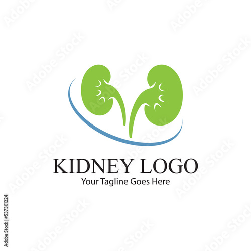 kidney vector illusrtation