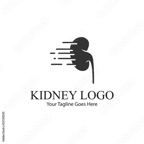 kidney vector illusrtation