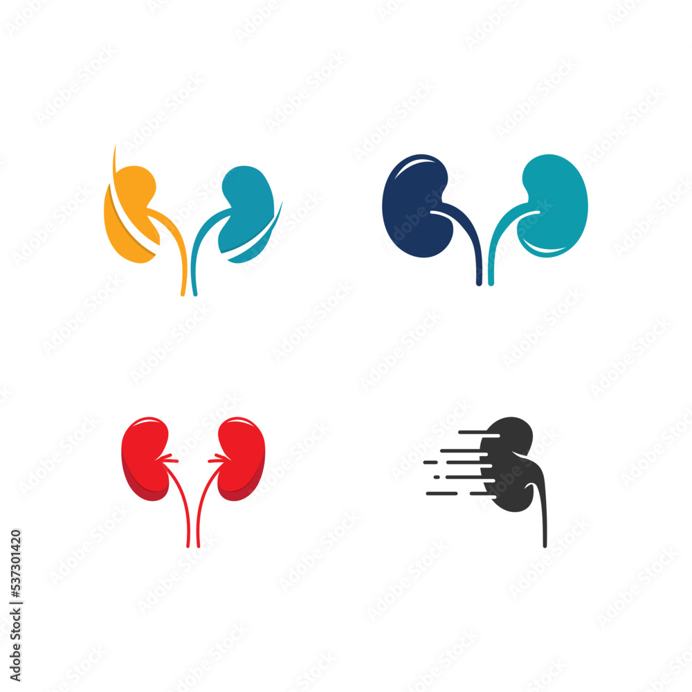 Fototapeta premium kidney vector illusrtation
