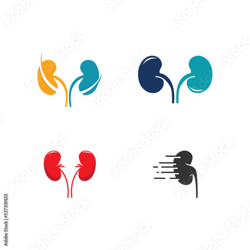 kidney vector illusrtation