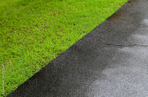asphalt road with green grass