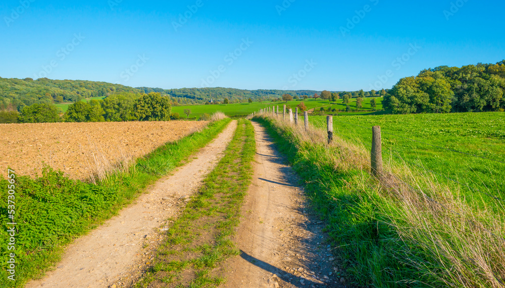 Fields and trees in a green hilly grassy landscape under a blue sky in sunlight in autumn, Voeren, Limburg, Belgium, October, 2022