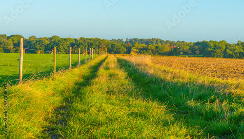 Fields and trees in a green hilly grassy landscape under a blue sky at sunrise in autumn, Voeren, Limburg, Belgium, October, 2022