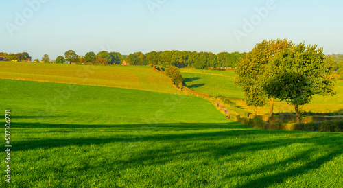 Fields and trees in a green hilly grassy landscape under a blue sky at sunrise in autumn, Voeren, Limburg, Belgium, October, 2022 © Naj