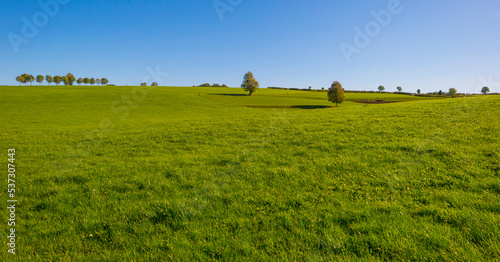 Fields and trees in a green hilly grassy landscape under a blue sky in sunlight in autumn, Voeren, Limburg, Belgium, October, 2022