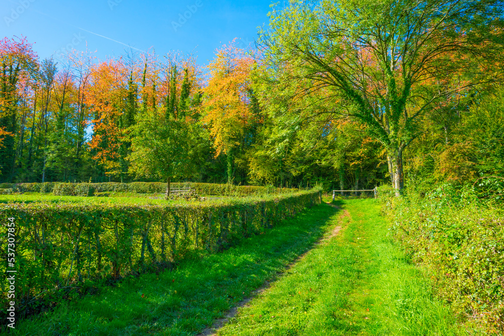 Fields and trees in a green hilly grassy landscape under a blue sky in sunlight in autumn, Voeren, Limburg, Belgium, October, 2022 Fields and trees in a green hilly grassy landscape under a blue sky in sunlight in autumn, Voeren, Limburg, Belgium, October, 2022