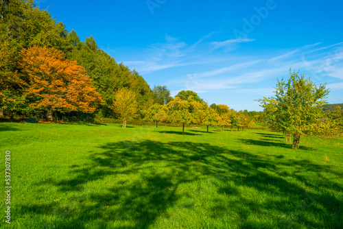 Fields and trees in a green hilly grassy landscape under a blue sky in sunlight in autumn, Voeren, Limburg, Belgium, October, 2022 © Naj