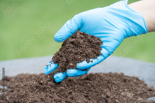 Hand holding peat moss organic matter improve soil for agriculture organic plant growing, ecology concept.