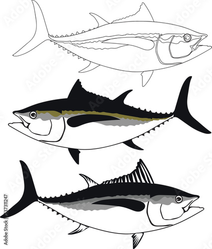tuna fish vector