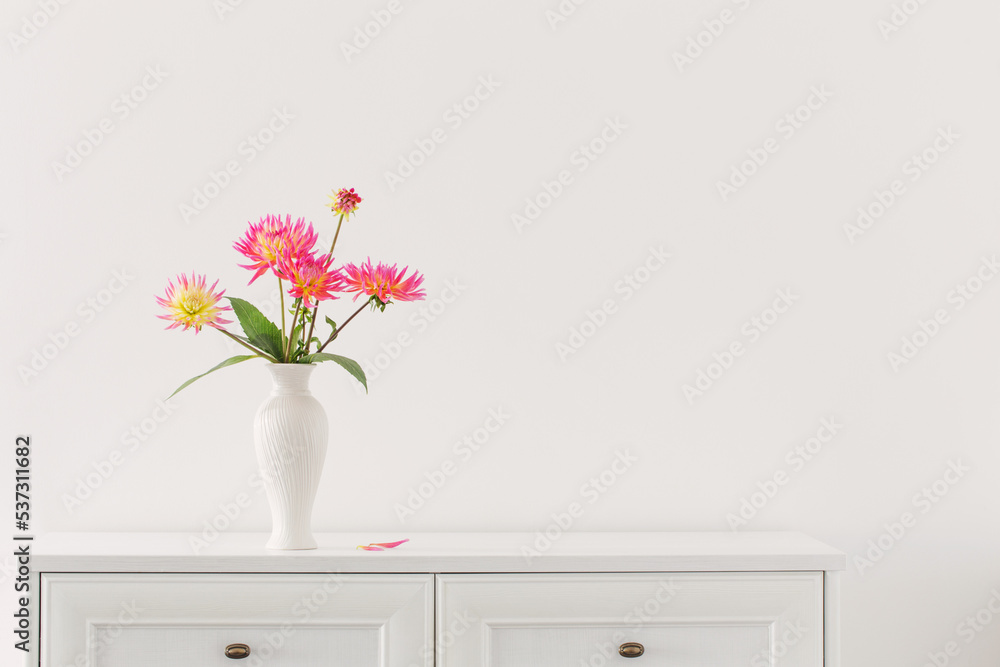 beautiful pink dahlia in white vase on white background beautiful pink dahlia in white vase on white background