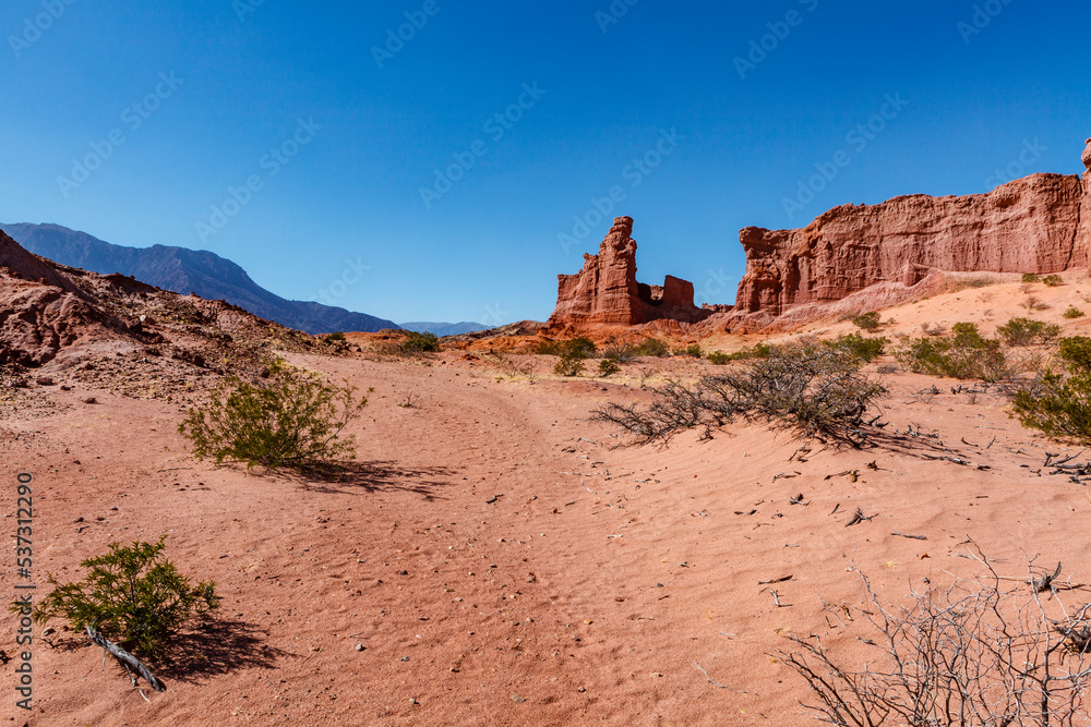 Red rocks of Quebrada de Cafayate, Salta, Argentina, South America Red rocks of Quebrada de Cafayate, Salta, Argentina, South America