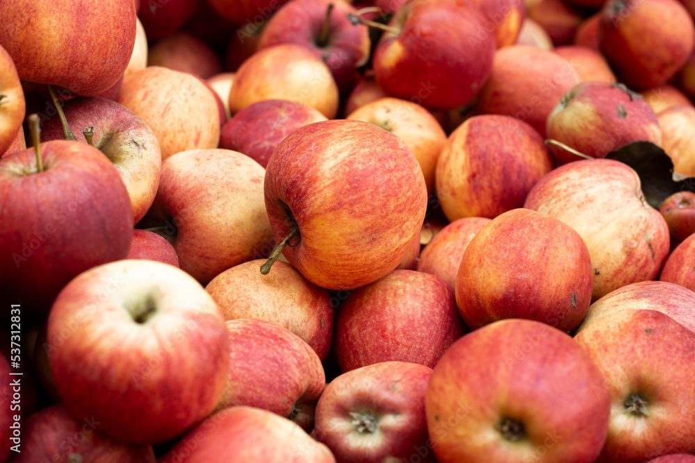 Background with fresh red apples. Top view, flat lay Background with fresh red apples. Top view, flat lay