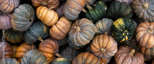 Background from decorative mini pumpkins. Top view, flat lay. Banner