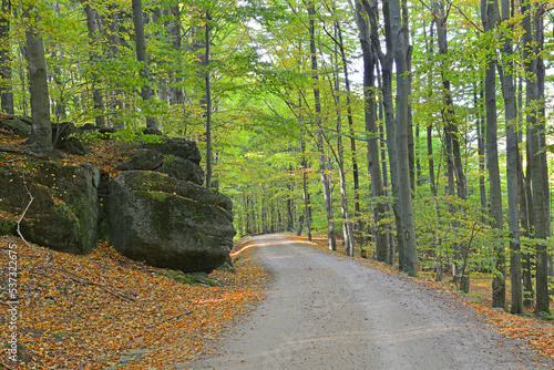 Картината върху платно Ferdinandov - the surroundings of the Cerny Stolpich stream