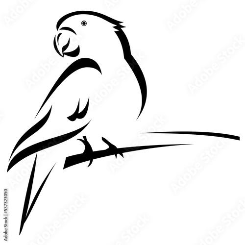 black and white parrot outline