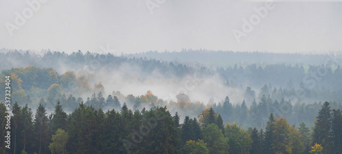 Amazing mystical rising fog forest autumnal trees and firs landscape in black forest ( Schwarzwald ) Germany panorama banner - Dark autumn mood © Corri Seizinger