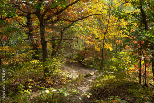 Fall landscape at Starved Rock.