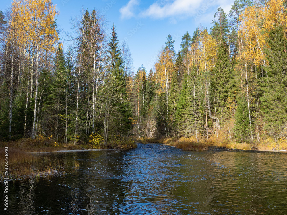 The Kolos river flows in the forest in autumn in the Republic of Karelia, northwest Russia The Kolos river flows in the forest in autumn in the Republic of Karelia, northwest Russia