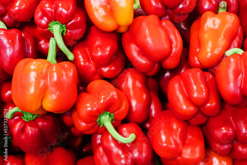 Bulgarian peppers on the counter in the store. Red fruits of ripe peppers wholesale and retail. Close-up