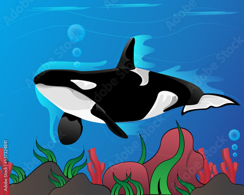  Illustration Vector Graphic Of Whale Orca in Deep Ocean