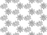 Hand drawn anise seamless pattern background. Spices in doodle and line art style. Isolated vector illustration.