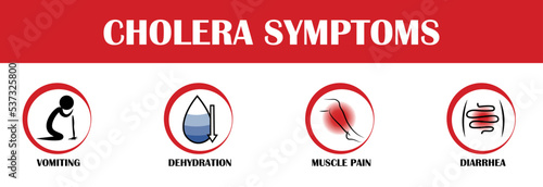 Cholera symptoms, vector pictograms, disease illustration photo