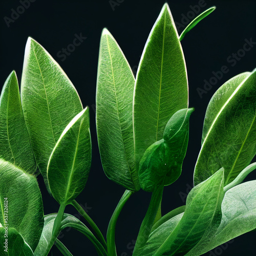 green leaves on blue