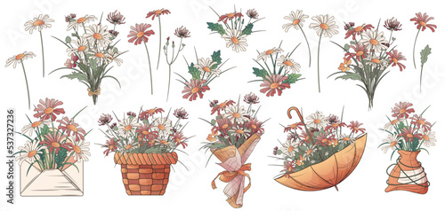 Floral set of vector illustration of daisy flowers, bouquets, flowers in umbrella, basket, envelope. Bouquet of wildflowers. Flower arrangement. For card design, flower shop decoration, banner, poster