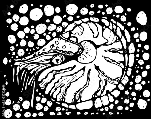 black and white graphic illustration of nautilus pompilius marine mollusk floating in the sea and ocean with striped shell, print for T-shirt, sweatshirt, bed linen, baseball cap, children's pajamas
