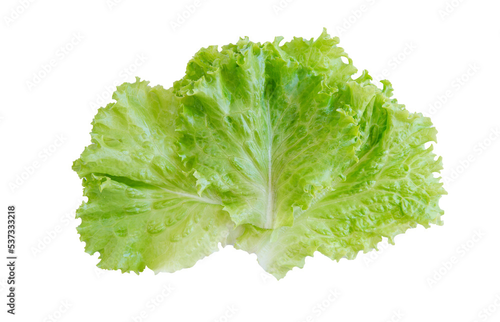 Salad leaf. Lettuce isolated on white background. with clipping path Salad leaf. Lettuce isolated on white background. with clipping path