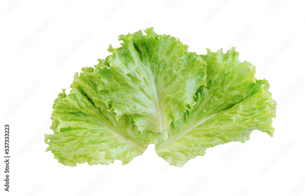Salad leaf. Lettuce isolated on white background. with clipping path Salad leaf. Lettuce isolated on white background. with clipping path