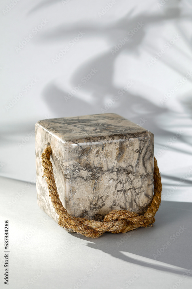Elevation with a free space on a gray background with shadows of flowers Elevation with a free space on a gray background with shadows of flowers