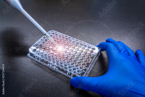 Protein Concentration Assay