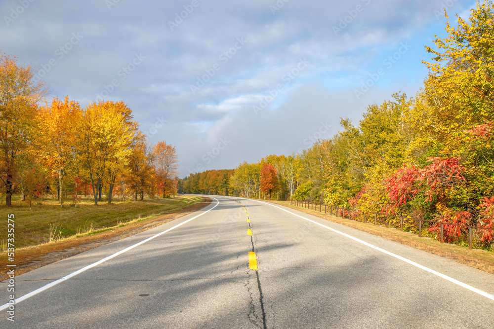 Looking down centreline of empty roadway through forest and parkland with trees in full fall foliage, cloudy sky, nobody Looking down centreline of empty roadway through forest and parkland with trees in full fall foliage, cloudy sky, nobody