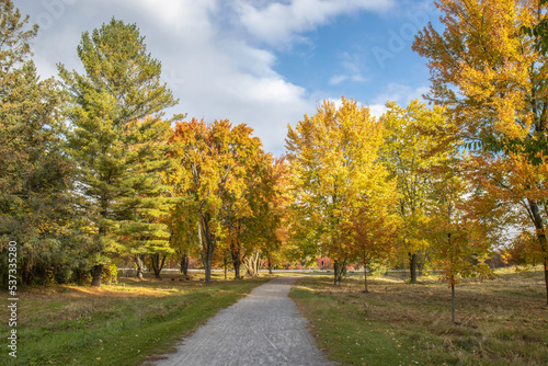 A gravel footpath leading through trees in full fall foliage, sunny with clouds, nobody