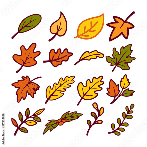 Illustration of various branch and leaves set. Isolated on white background. Elements for autumn needs
