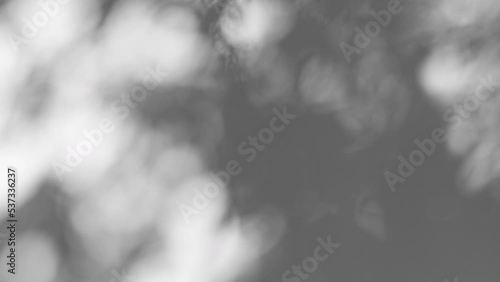 Summer concept the motion of leaves sunlight natural shadow overlay on white texture background, for overlay on product presentation, backdrop and mockup