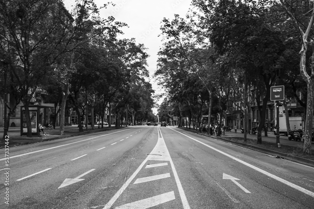 an empty city street photographed in a moment of respite from car traffic