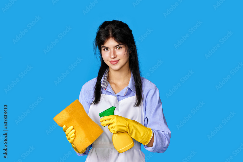 woman gloves and cleaner apron with sponge and detergent sprayer woman gloves and cleaner apron with sponge and detergent sprayer