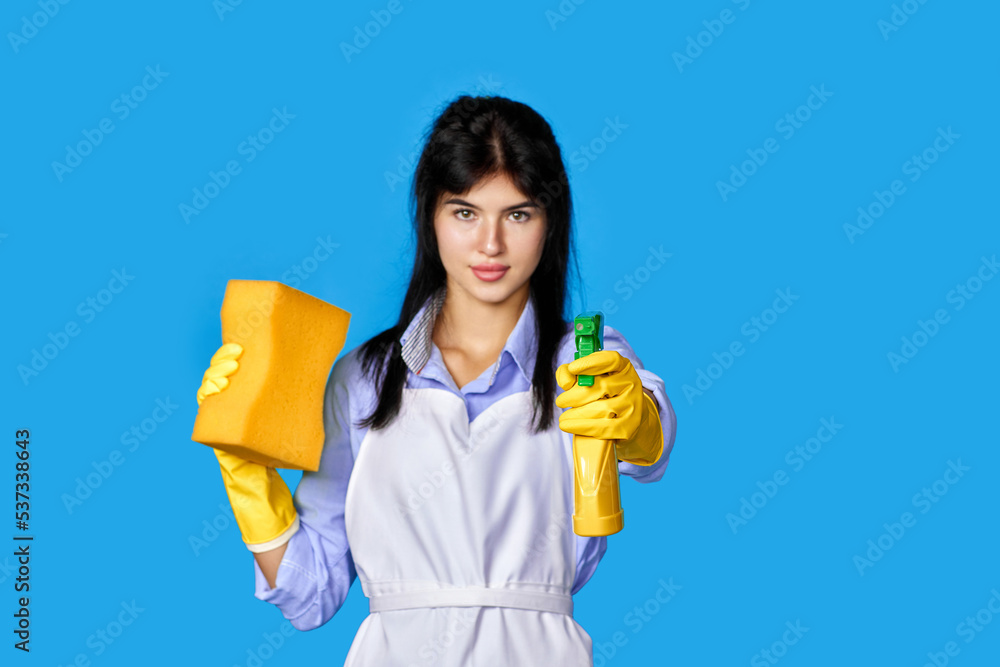 woman gloves and cleaner apron with sponge and detergent sprayer woman gloves and cleaner apron with sponge and detergent sprayer