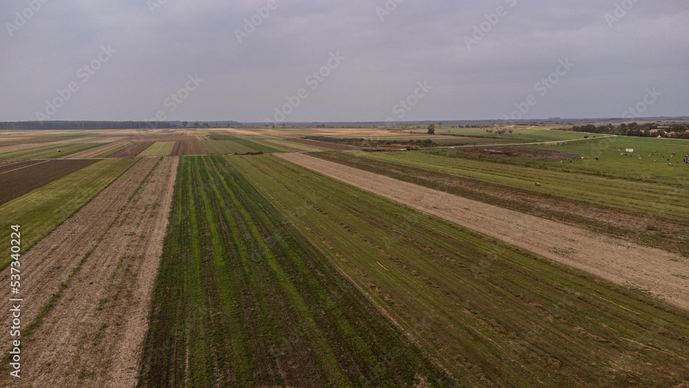 Aerial drone view flight over different agricultural fields sown