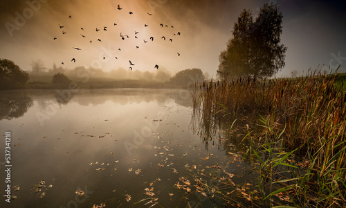 an autumnal landscape with pond and fog