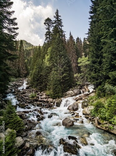 The confluence of two mountain rivers in the mountains in a forest of pines, a noisy and stormy river of blue and white foams and pushes stones, on a sunny summer day