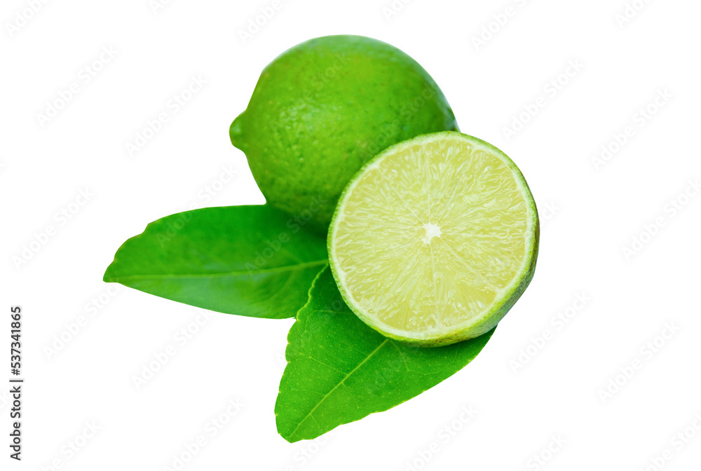 Lime slice and leaf isolated on white background with clipping path Lime slice and leaf isolated on white background with clipping path