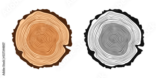 Round tree trunk cuts in various colors, sawn pine or oak slices, lumber. Saw cut timber, wood. Brown wooden texture with tree rings. Hand drawn sketch. Vector illustration