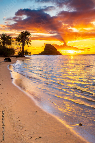 Fototapeta Naklejka Na Ścianę i Meble -  Beautiful Sunrise a Kualoa Beach Park in Kaaawa, Oahu, Hawaii