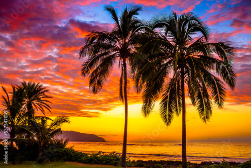 Fototapeta Naklejka Na Ścianę i Meble -  North Shore Oahu Hawaii Sunset